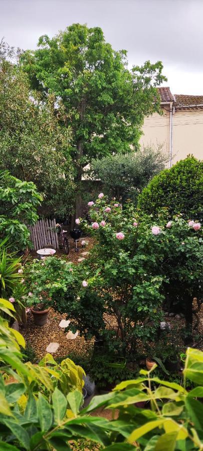 Villa Fontilha Usclas-l'Herault Eksteriør billede