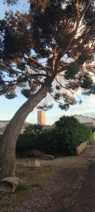 Villa Fontilha Usclas-l'Herault Eksteriør billede